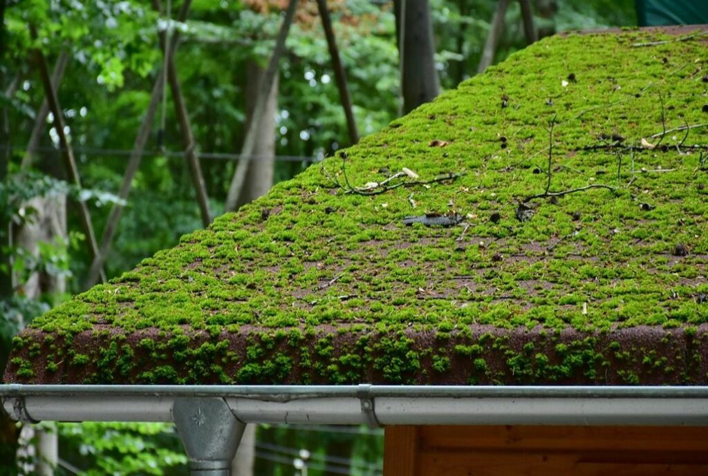 Build-a-green-roof