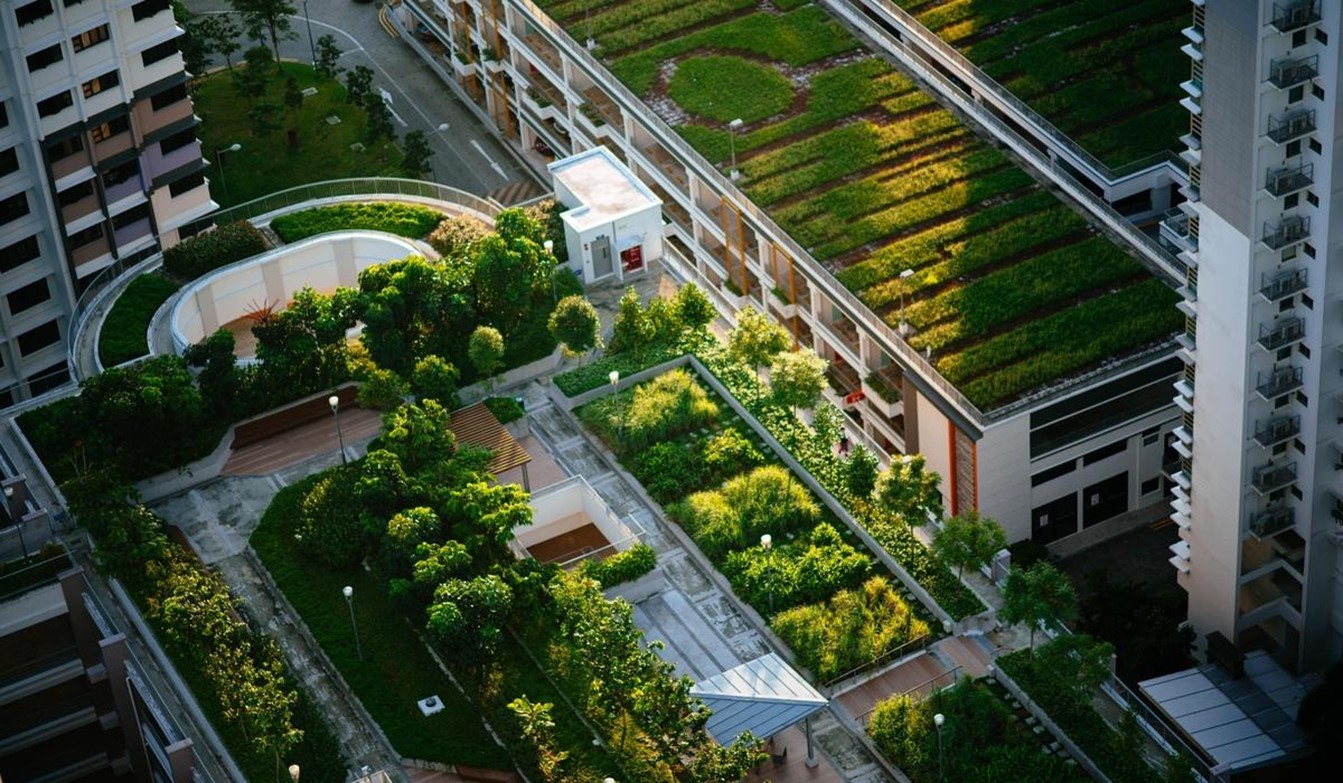What-are-green-roofs